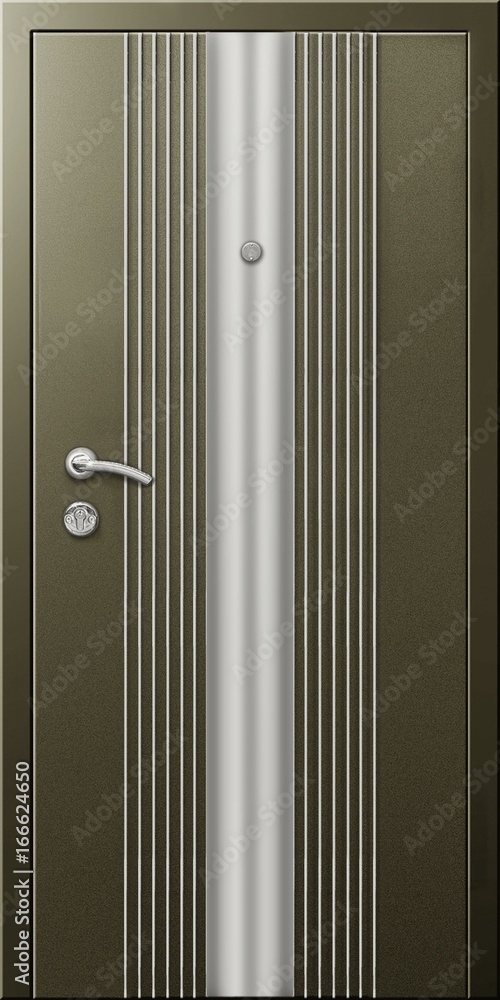 Obraz premium Entrance door (metal door)