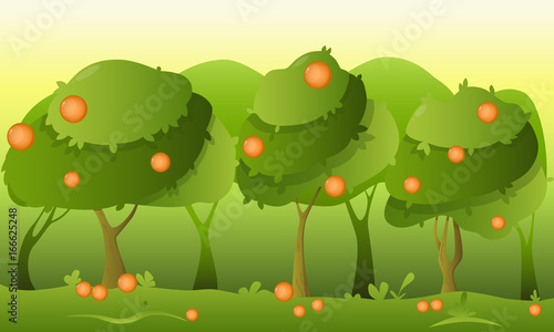 Orange garden. Summer landscape with green trees. Vector illustration