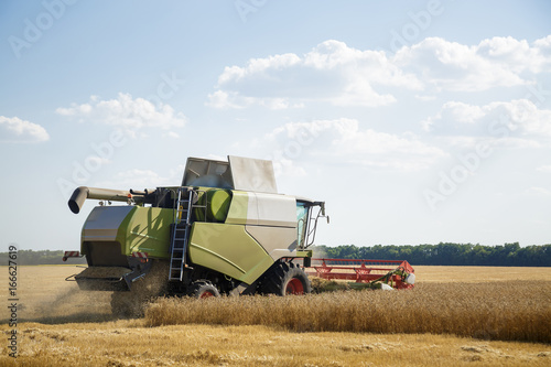 Working combine harvester in a wheat field. Agricultural background.