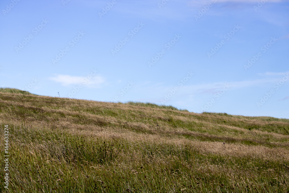 Grassy Hill in front of Blue Sky and Clouds
