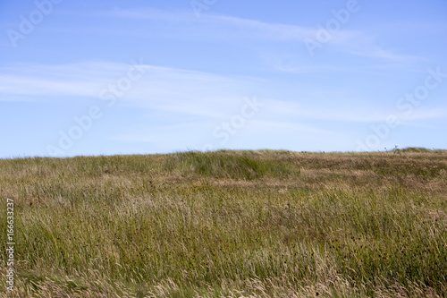 Grassy Hill in front of Blue Sky and Clouds