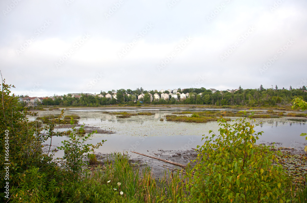 a marsh with homes behind