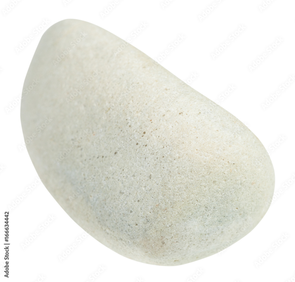 pebble of limestone stone isolated pebble of limestone stone isolated