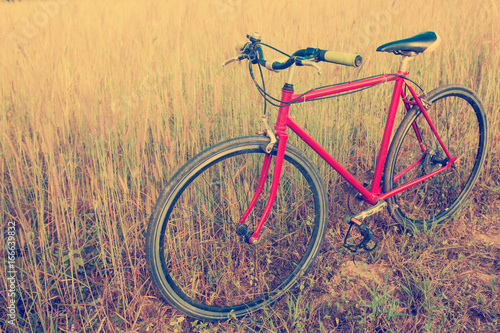 red bicycle in morning light,soft and vintage