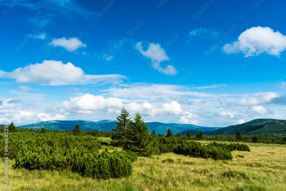 Beautiful mountain landscape and meadow