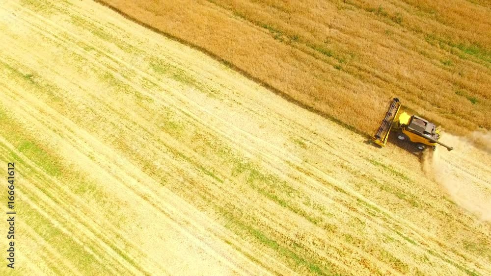 Aerial view of combine harvester. Harvest of rapeseed field. Industrial footage on agricultural theme. Biofuel production from above. Agriculture and environment in European Union. Aerial view of combine harvester. Harvest of rapeseed field. Industrial footage on agricultural theme. Biofuel production from above. Agriculture and environment in European Union.