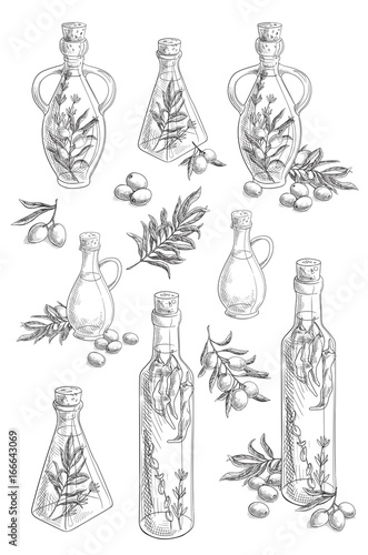 Hand drawn sketch - collection of olive oil bottles with olive branches and olive berries. Great design elements for olive oil products.