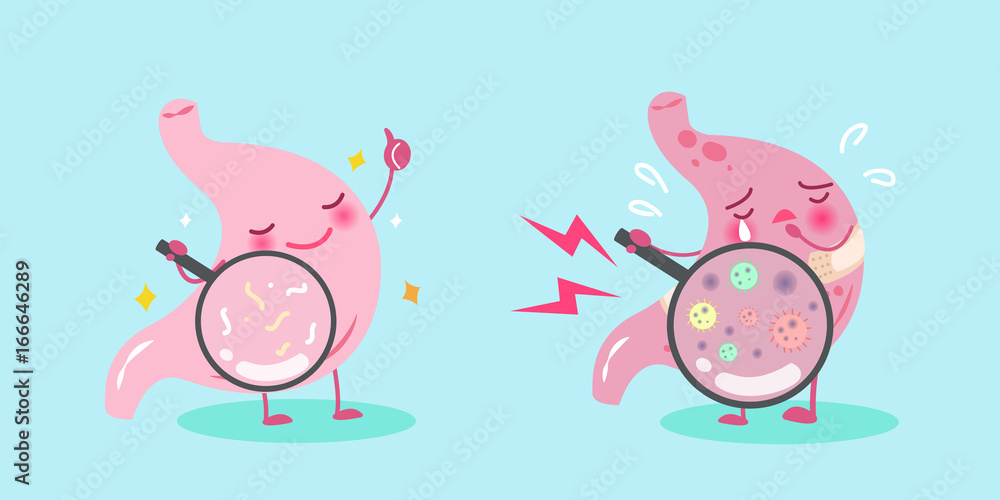 cute cartoon stomach