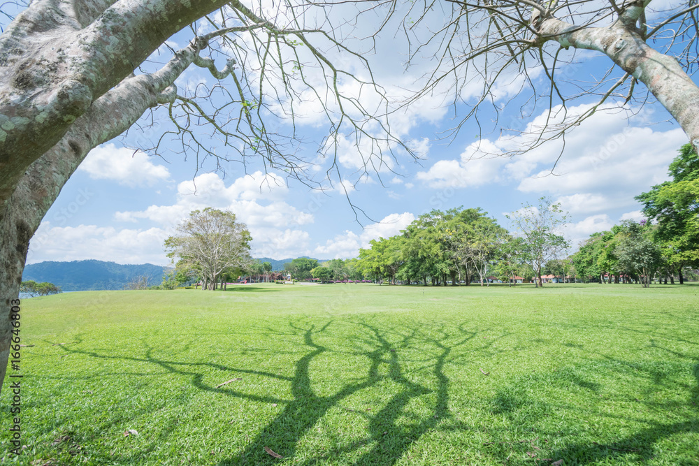 Obraz premium Public Landscape