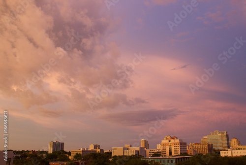 Saint Pete Purple Haze