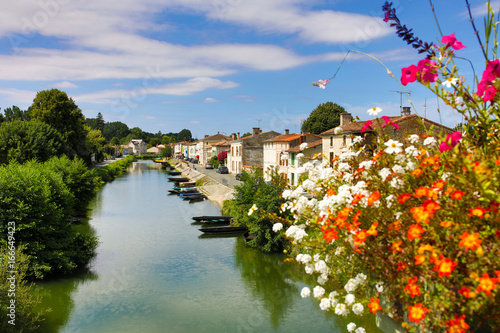 marais poitevin  photo