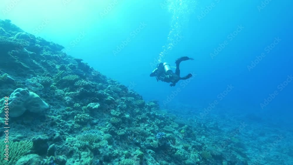 POV, scuba diver swims in Indian Ocean reef POV, scuba diver swims in Indian Ocean reef