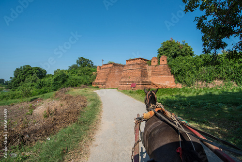 Horse riding in Inwa an old capital cities of Myanmar, is one of the most famous tourist activity. © boyloso