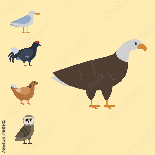 Bird species collection different vector illustration wild animal characters avifauna tropical feather pets