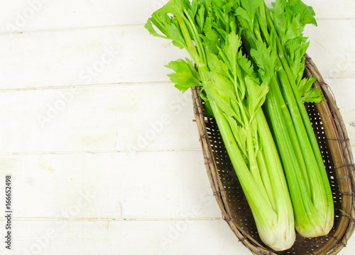 Fresh green celery isolated on white background  