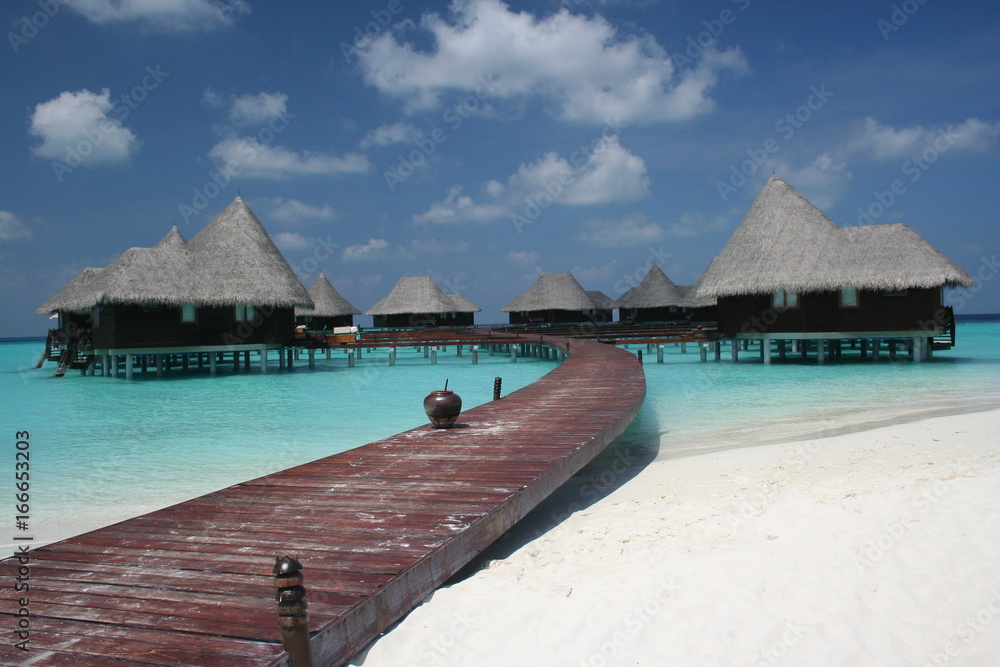 Maldives - Coco Palm