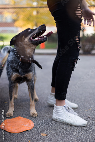 dog and girl