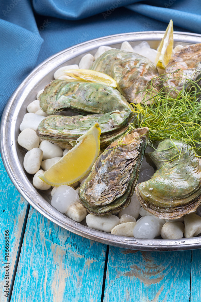 raw oysters with lemon and ice