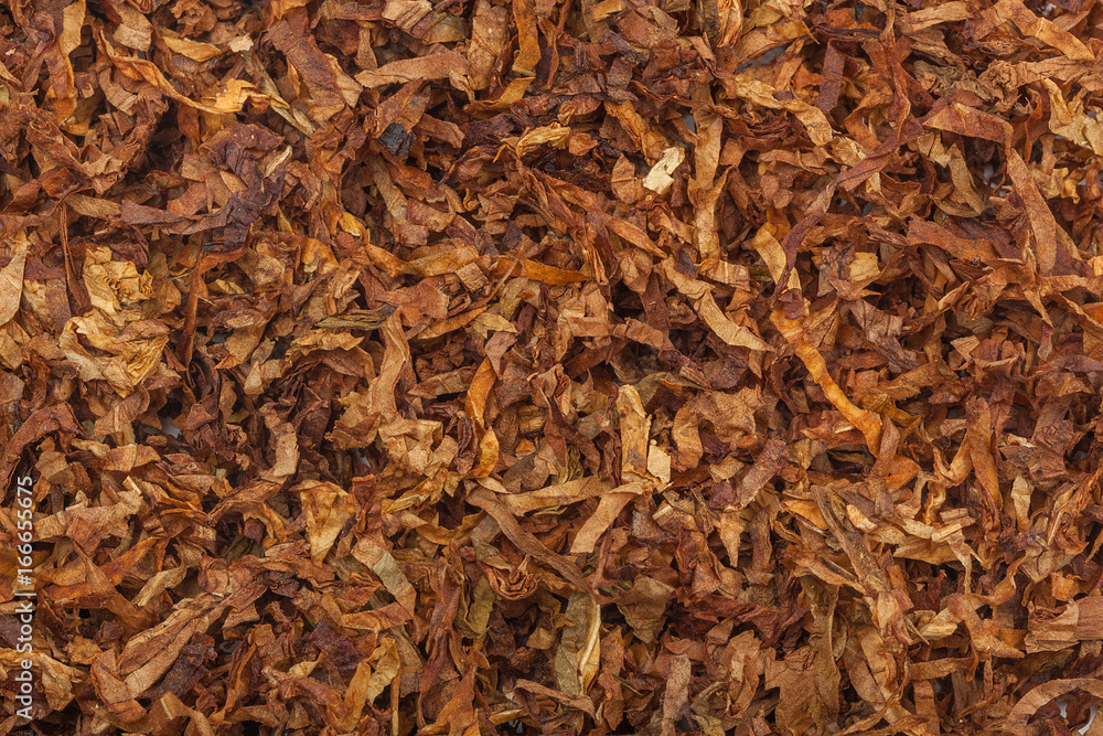 Tobacco texture. High quality dry cut tobacco big leaf, close up, background
