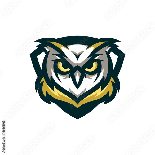 Owl Vector Logo Illustration