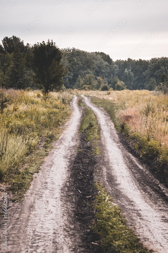 Old rural road in summertime. Style toned photo.