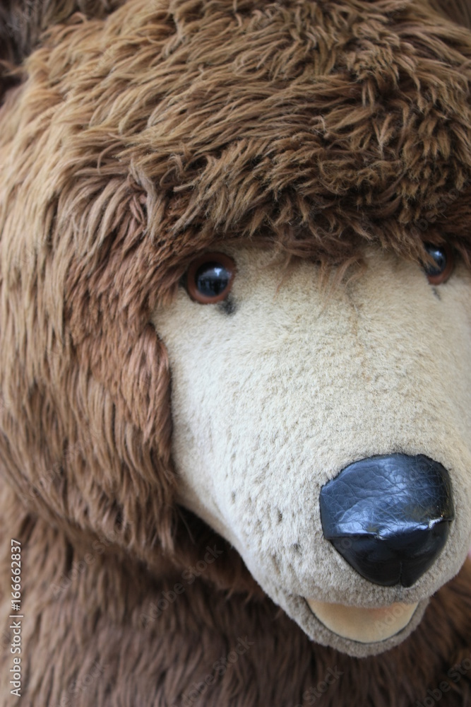 Obraz premium teddy bear close up portrait toy