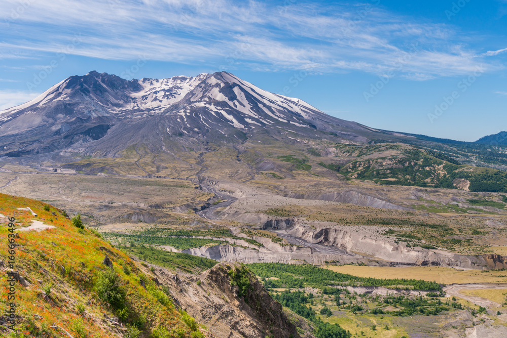 The breathtaking views of the volcano Mount St. Helens destroyed landscape and barren lands. Harry's Ridge Trail. Mount St Helens National Park, South Cascades in Washington State, USA