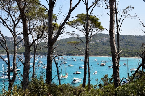 Fototapeta Naklejka Na Ścianę i Meble -  vista sul mare dell'isola di Porquerolles in Francia