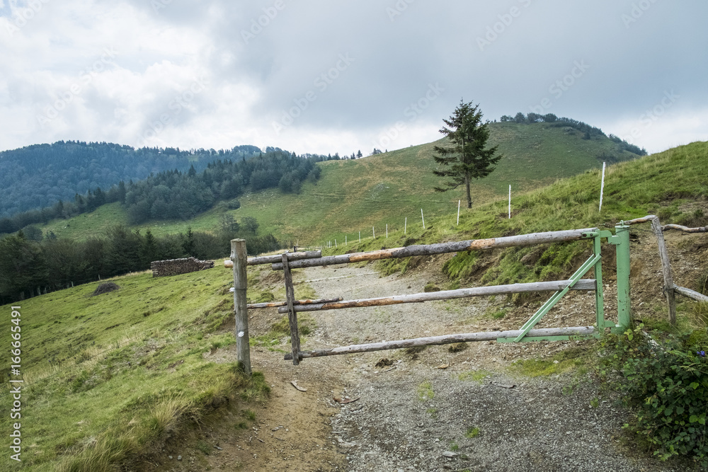 Cattle gate on mountain pastures in Slovenia.