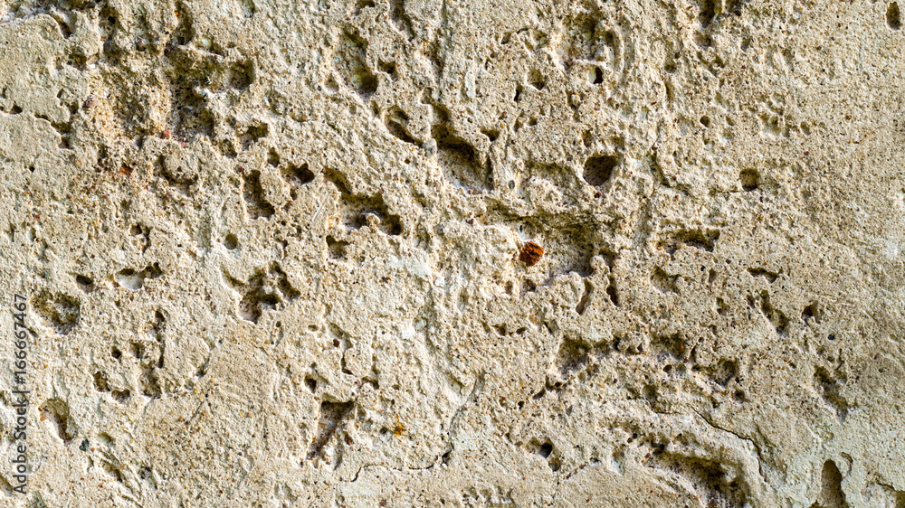 Clay texture Clay texture
