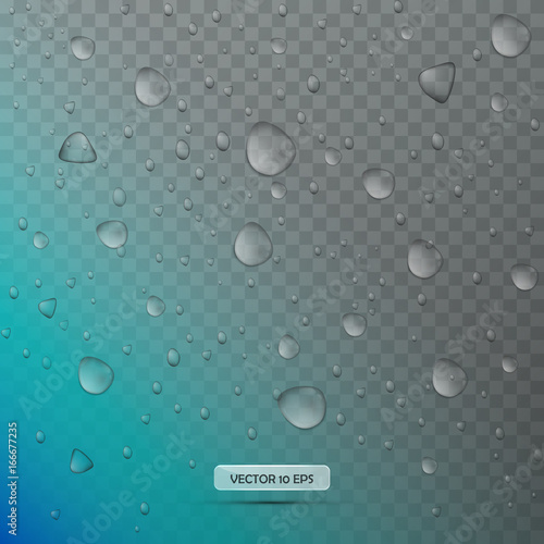 Realistic Water drops. Vector illustration. Transparent Water drops isolated.