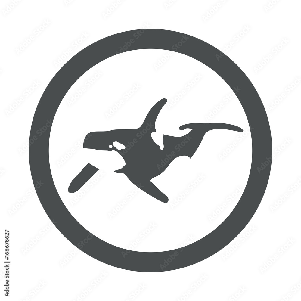 Fototapeta premium Icono plano orca en espacio negativo en circulo color gris