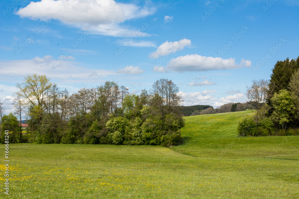Fototapeta premium Allgäulandschaft