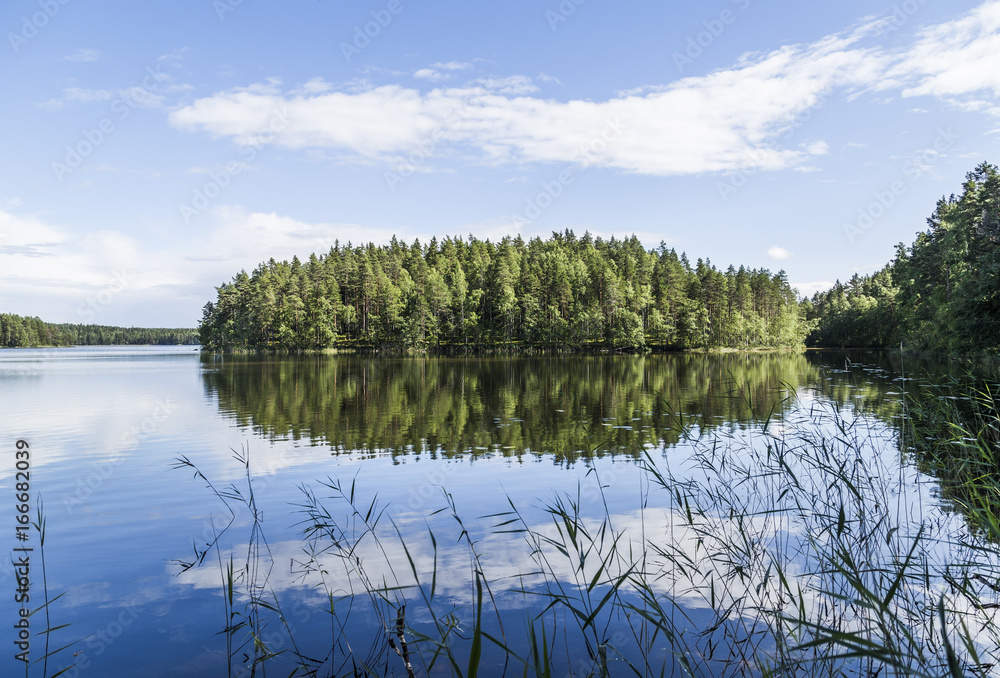 Fototapeta premium Beautiful sunny summer day next to lake in Finland