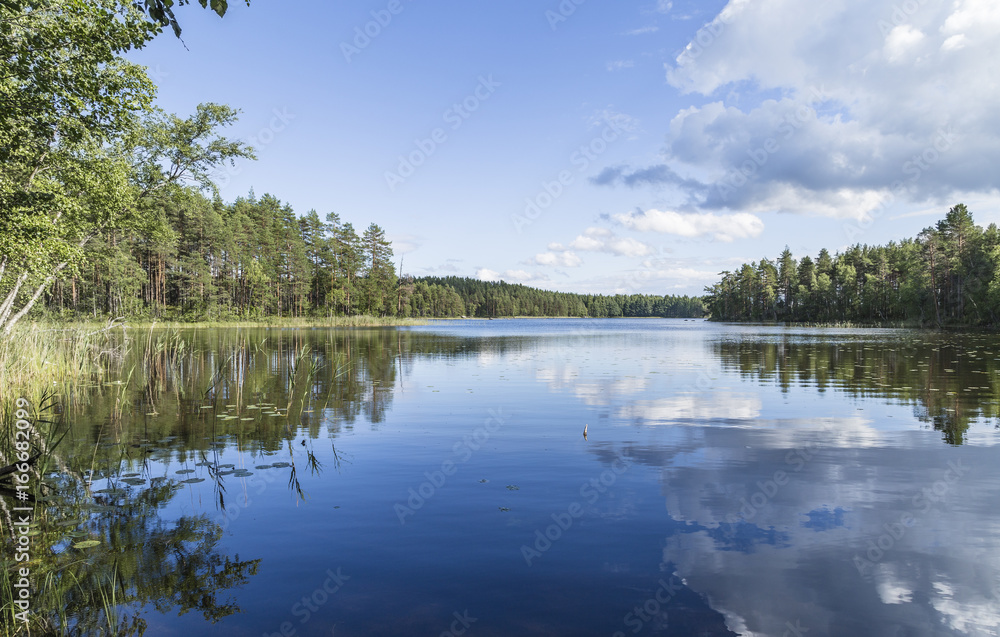 Beautiful sunny summer day next to lake in Finland