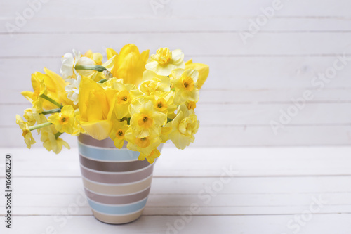 Bright yellow spring daffodils flowers in cup on white  wooden background.