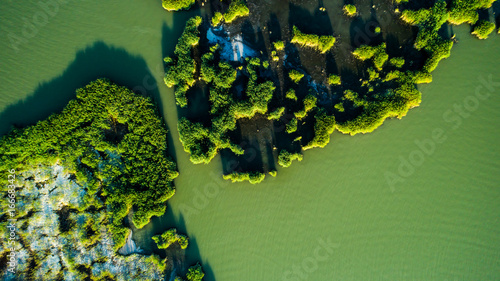 Aerial view Reeds island in the lake on Hungary, Sukoro, Velence.