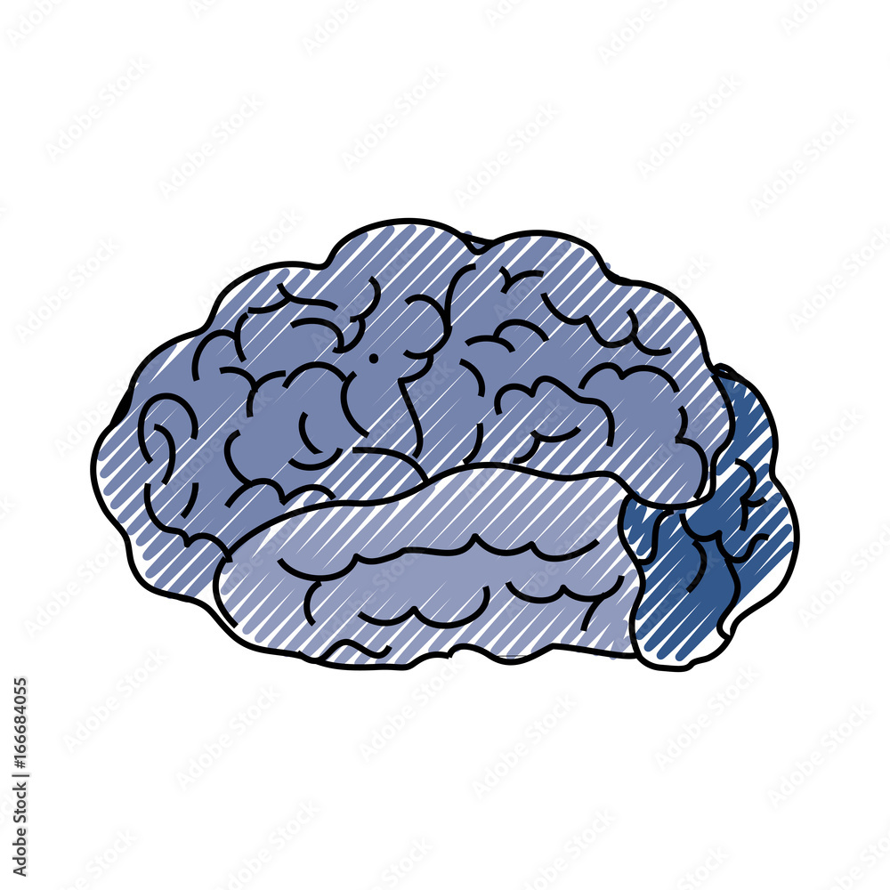 Human brain symbol Human brain symbol