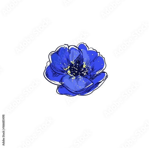 Poppy. Beautiful hand drawn poster of vector isolated herbs and flowers illustrations. Medical and organic beauty collection, Inspirational vector sketches for design and advertising