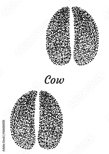 Cow footprint illustration, drawing, engraving, ink, line art, vector