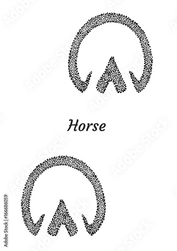 Horse footprint illustration, drawing, engraving, ink, line art, vector