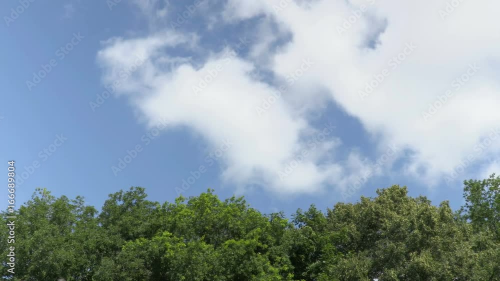 Clouds float over the forest. Time-lapse recording. Footage clip 4K, UHD Clouds float over the forest. Time-lapse recording. Footage clip 4K, UHD