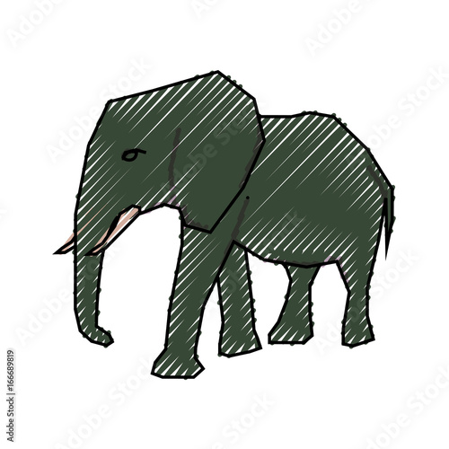 Elephant cartoon isolated