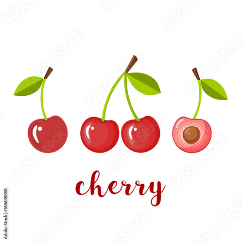Pair of three cherries, isolated vector illustration
