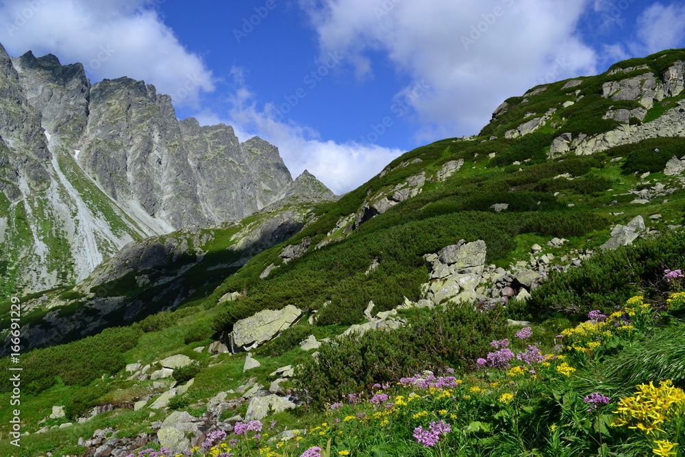 góry Tatry Słowackie góry Tatry Słowackie