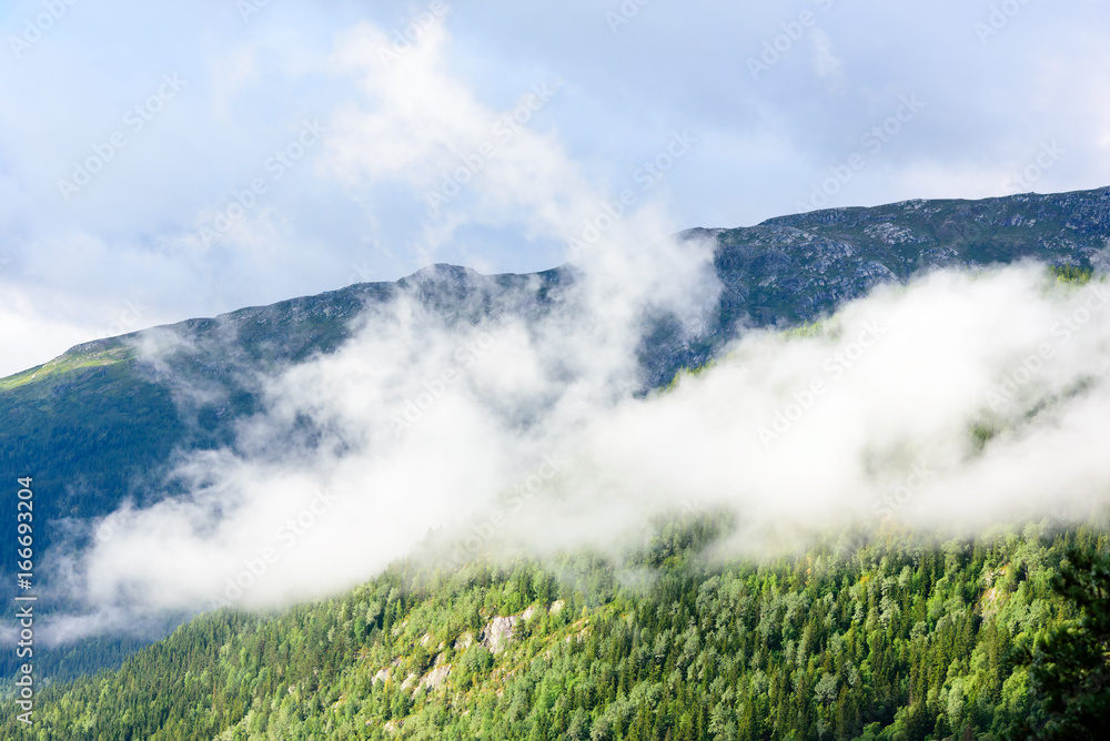 Low clouds over conifer forest with mountains in background. Low clouds over conifer forest with mountains in background.