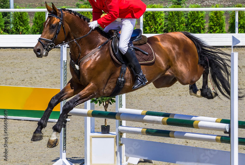 Bay dressage horse and rider in red jacket performing jump at show jumping competition. Equestrian sport background. Bay horse portrait during dressage competition. 