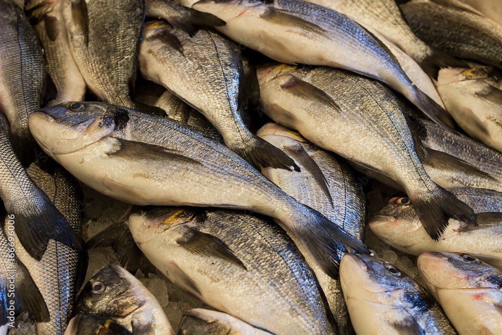 Fototapeta premium fresh sea fish on the local fish market