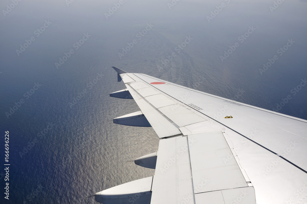 飛行機の翼と海面