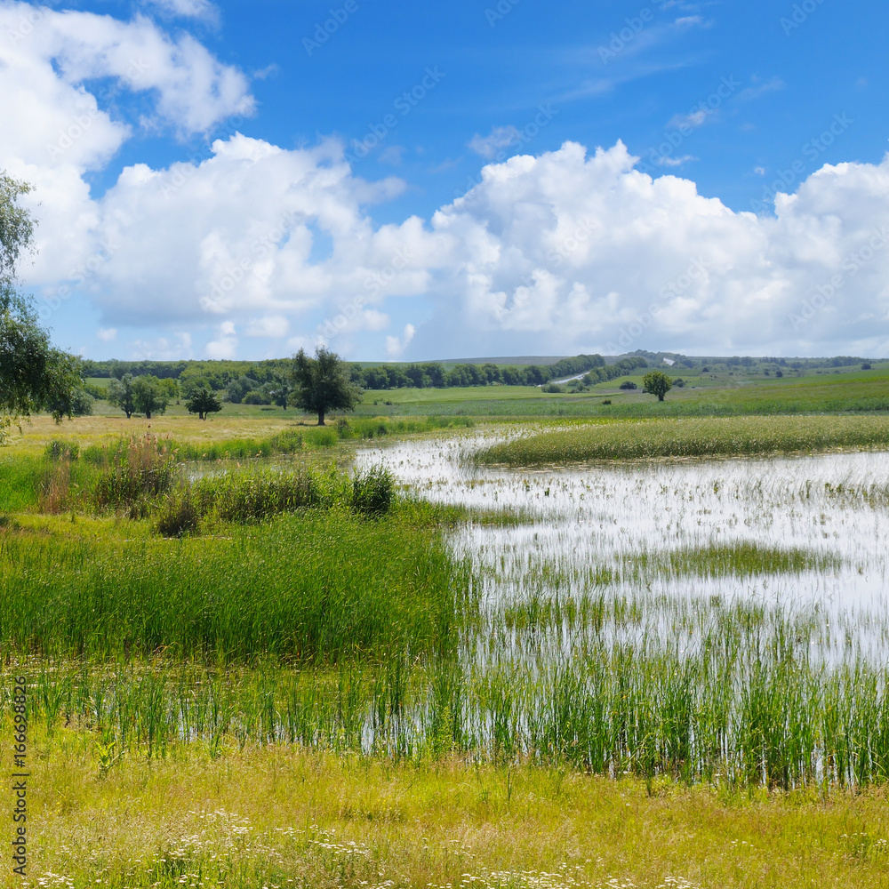 old lake with aquatic vegetation and sky old lake with aquatic vegetation and sky